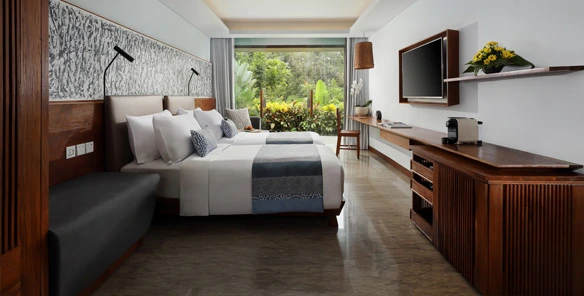 Luxury Room